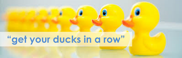 AIMS Accountants for Business - Ducks