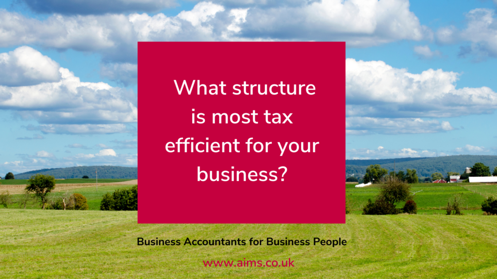 what structure is most tax efficient for my business
